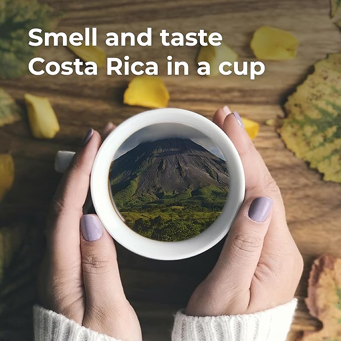 Coffee from Costa Rica Medium and Dark Roast Ground - Two Bags Bundle - 100% Arabica Beans - by Liquid Gold Coffee- Known Source Coffee