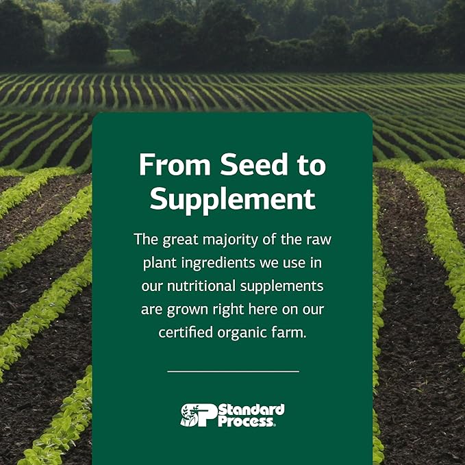 Standard Process Renafood - Supports Healthy Kidney Function &amp Antioxidant Activity - Contains Vitamins A - Non-Soy - 180 Tablets
