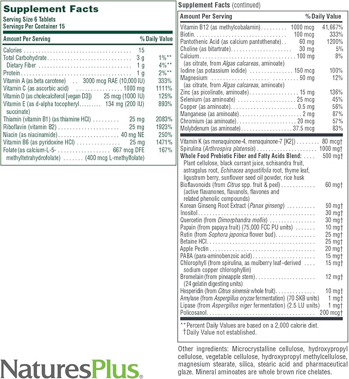 NaturesPlus Source of Life Mini-Tabs No Iron - 90 Vegetarian Mini Tablets - Easy to Swallow Natural Whole Food Multivitamin &amp Mineral Supplement for Health &amp Energy - 15 Servings