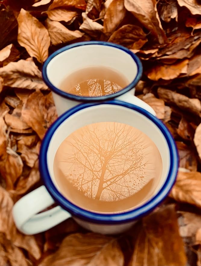 Premium 100% Wild Harvested Chaga - 30 Tea Bags (Chaga Chai)