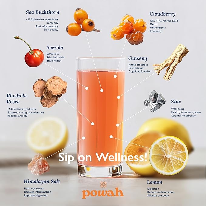 Daily Hustle Wellness Drink – Electrolytes Adaptogens &amp Immunity Support. 30 Sugar-Free Servings. Clean Superfoods. Nordic Berry Flavor.