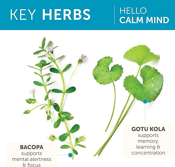 Himalaya Hello Calm Mind with Bacopa for Relaxation Focus and Concentration &amp Hello ZZZs with Melatonin for Sleep Support 60 Capsules Each - Bundle