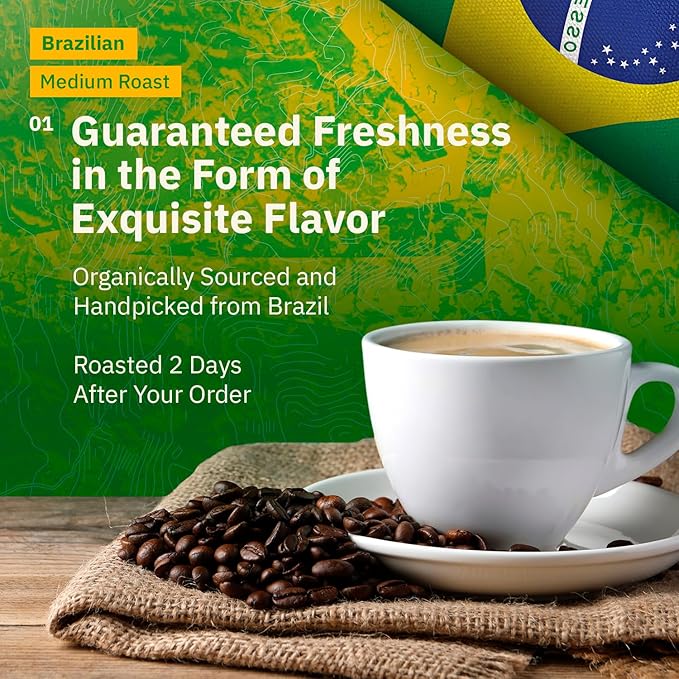 Brazilian Santos Medium Roast Coffee Beans - Single Origin Arabica Coffee Beans Freshly Roasted to Order Coarse French Press Grind Coffee Low Acid with Smooth Cocoa Notes Specialty Grade - 5LB