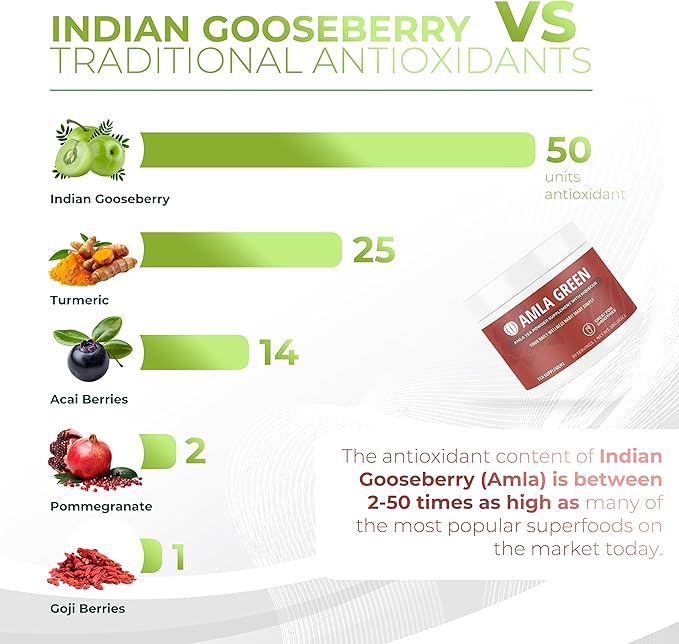 Amla Powder &amp Green Tea Superfood Supplement with Hibiscus 20x Ultra Concentrated Amla Antioxidant Support Made with Oolong Tea and Indian Gooseberries Organic Vegan Hibiscus 30 Servings