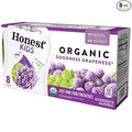 Honest Kids Goodness Grapeness Grape Fruit Juice 6.75 Fl Oz (pack of 8)