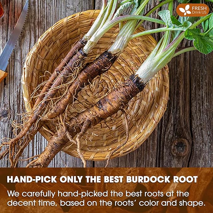 FreshDrinkUS Premium 135 Burdock Root Tea Bags 100% Natural &amp Pure. Made with Natural Material Tea Bags. No Sugar No Caffeine No Gluten Vegan.