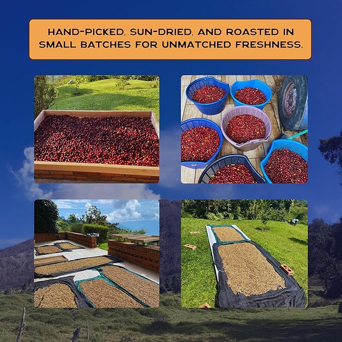 Terra Lava Coffee – Medium Roast Whole Bean Coffee Single-Origin Costa Rican Arabica Volcanic Soil Grown Honey-Processed Tested for Mold &amp Mycotoxins (12 oz)