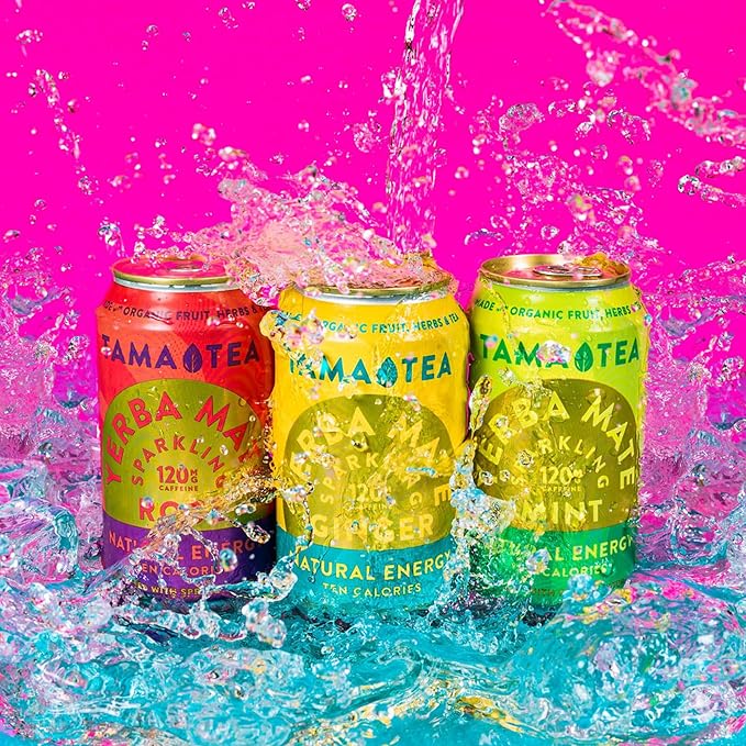 Organic Sparkling Ginger Yerba Mate Tea Unsweetened by Tama Tea - Sugar Free Energy Drink Alternative 120mg Natural Caffeine 12 oz (12-Pack)