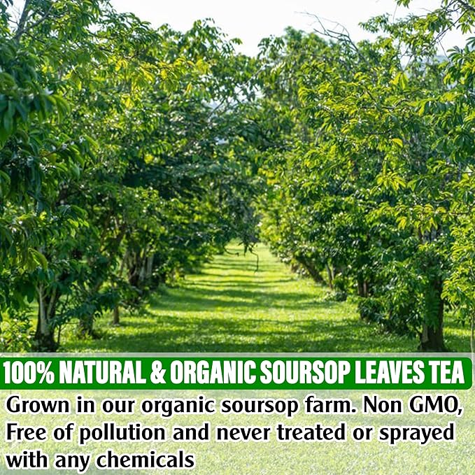 270 Butterfly Pea Soursop Graviola Stevia Dried Leave24 Bags (6-Pack)100% Olive Oil Calorie Free 7.05 oz All 30 packs Each Box is 4.25 oz Ginger Ale Soda - 200 gr Brewers44 24 Count (KEYXE H