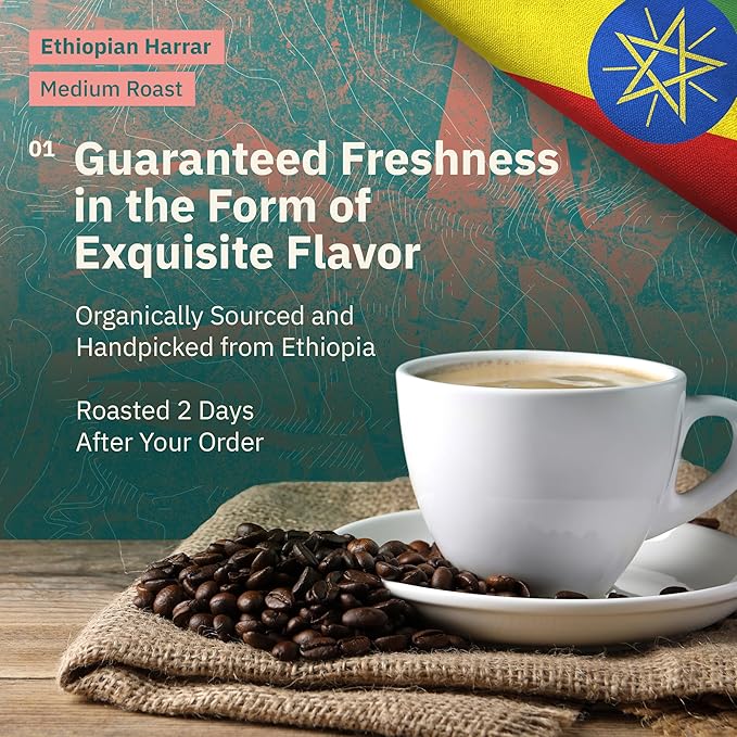 Ethiopian Harrar Coffee French Press Grind Medium Roast 5LB – Single Origin Fair Trade Specialty Beans with Chocolate &amp Fruity Notes Fresh Roasted to Order