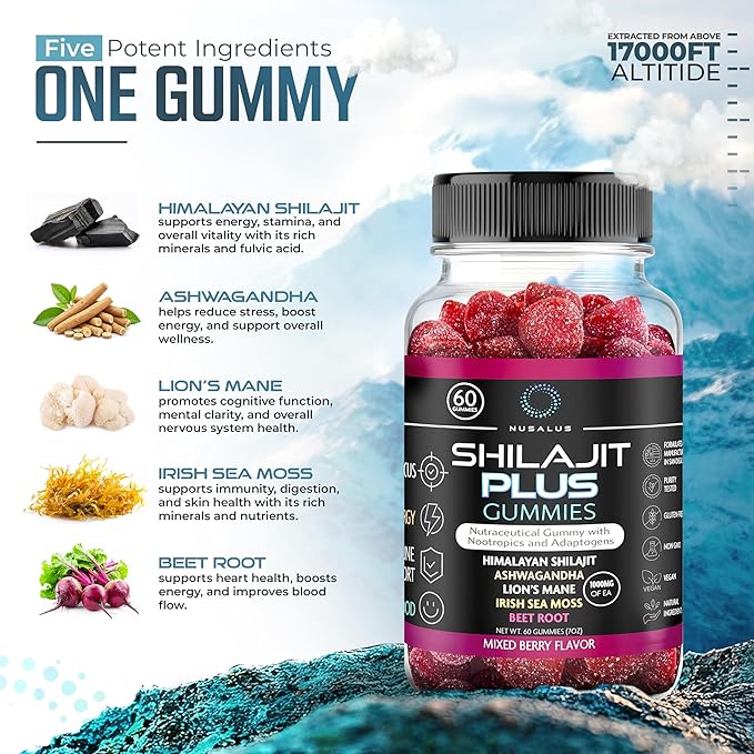 Shilajit Plus Gummies – 5-in-1 Adaptogen Energy &amp Focus Supplement | Shilajit Ashwagandha Lion’s Mane Sea Moss &amp Beet Root | Natural Energy &amp Stress Support | Made in USA Vegan 60ct