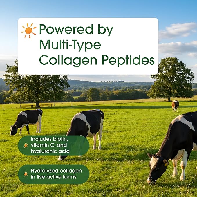 NatureBell Multi Collagen Protein Powder - 600g - Hydrolyzed Collagen Peptides - for Skin Hair Nail Joint &amp Bone Health Support* - Grass-Fed &amp Keto-Friendly - Unflavored