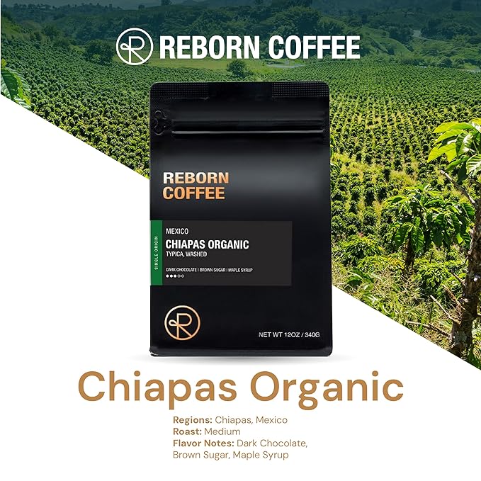 Reborn Coffee Specialty Whole Bean Coffee Medium Roast 12 Ounce Mexico Chiapas Organic Flavor Notes of Chocolate Brown Sugar and Maple Sugar