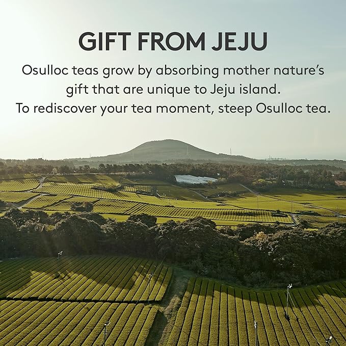 OSULLOC Premium Tea Collection (40 count 10 flavors x 4 ea) Self Care Sampler Gift Box Variety Pack Premium Organic Pure &amp Blended Tea from Jeju