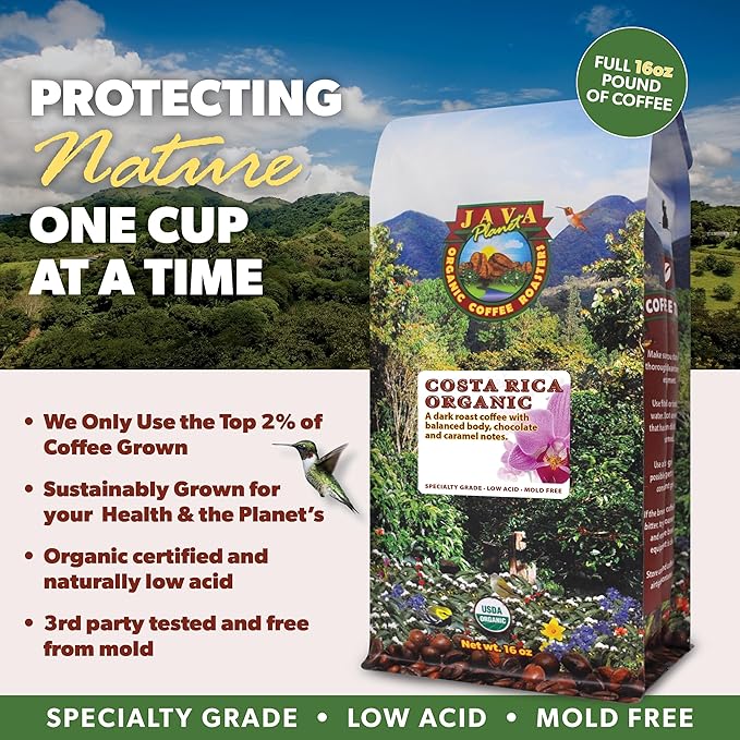 Low Acid Organic Coffee – Whole Bean Mold-Free &amp Stomach Friendly by Java Planet Costa Rican Single Origin Coffee Dark Roast Smooth Full Flavored 2x1LB Bag
