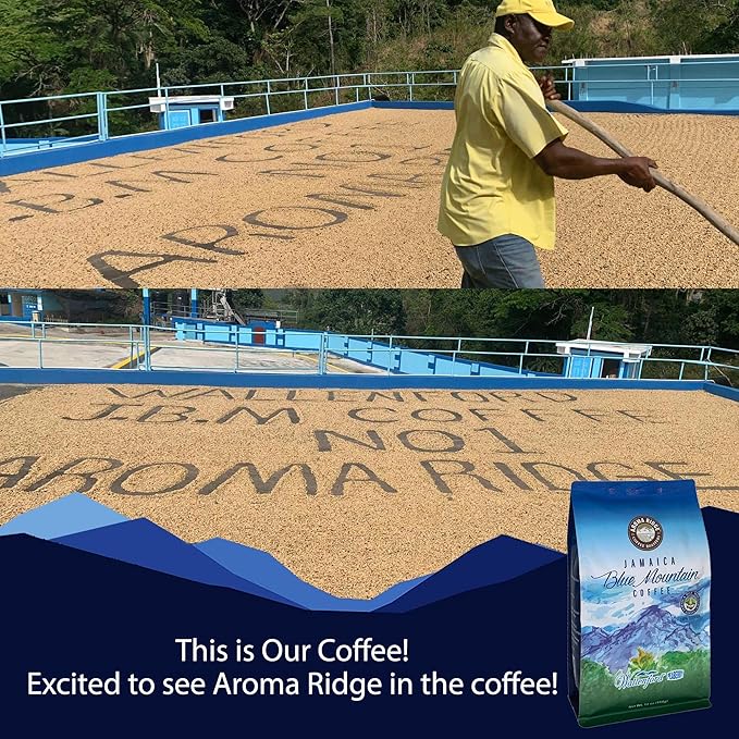 Jamaica Blue Mountain SPECIAL Peaberry Coffee | Wallenford | 1 LB Whole Bean| Medium Roasted - 100% Certified Authentic Jamaican Blue Mountain Coffee Beans Grade- Peaberry | Aroma Ridge.