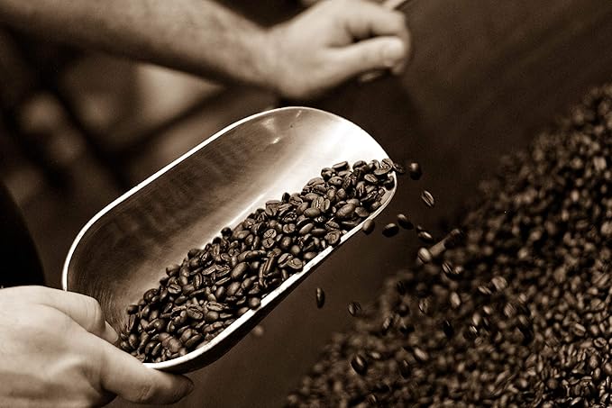 Caffe D’arte Abruzzo Ground Coffee – Medium Roast Earthy &amp Winey Flavor Roasted in Seattle Crafted for Drip Coffee Makers 1 lb