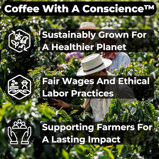 Amara - 2-Pack - Freshly Roasted After Your Order – Specialty Grade Natural Single Origin Medium to Light Roast Whole Bean Coffee No Bitterness Ethically Sourced - Pack of 2 (12 Ounces Each)