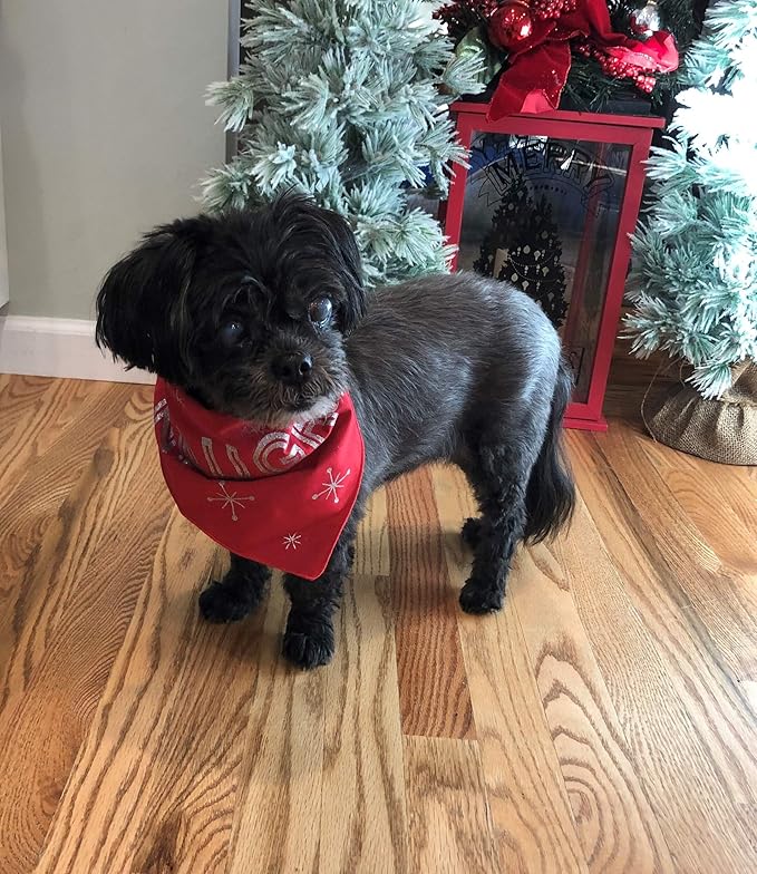 Dog Lovers Coffee – Cindy’s Holiday Blend Dark Roast Drip Coffee by The Pawfect Brew – Specialty Grade Freshly Roasted to Order 12oz Bag – 25% Donated to Animal Rescue