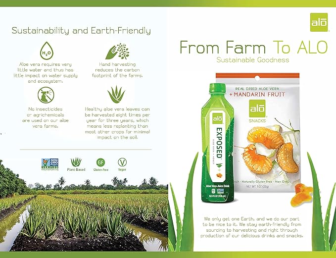 ALO Aloe Vera Juice Drink | BLUSH - Aloe Vera + Strawberry | 16.9 fl oz Pack of 12 | Plant-Based Drink with Real Aloe Pulp