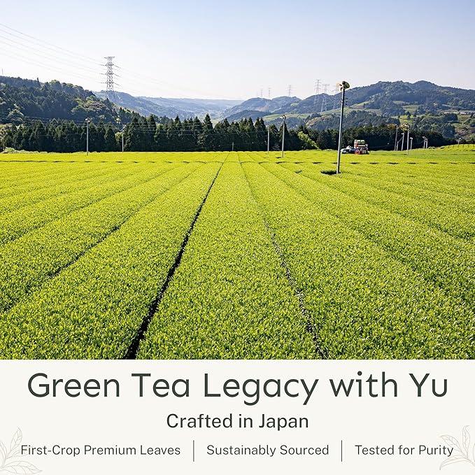 Yu Tea Decaf Organic Sencha Green Tea Powder 100 Servings | Rich in Antioxidants EGCG &amp L-Theanine | Pure Japanese First Harvest Leaf | Caffeine-Free &amp Unsweetened | Resealable Pouch 2.65