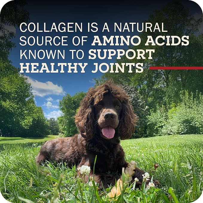 Redbarn Collagen Slims Dog Treat All-Natural Supports Healthy Joints &amp Shiny Coat Chew (case of 10)