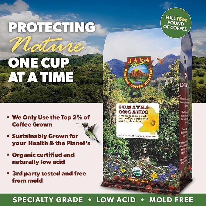 Low Acid Organic Coffee – Whole Bean Mold-Free &amp Stomach Friendly by Java Planet Sumatran Single Origin Coffee Dark Roast Smooth Full Flavored 2x1LB Bag