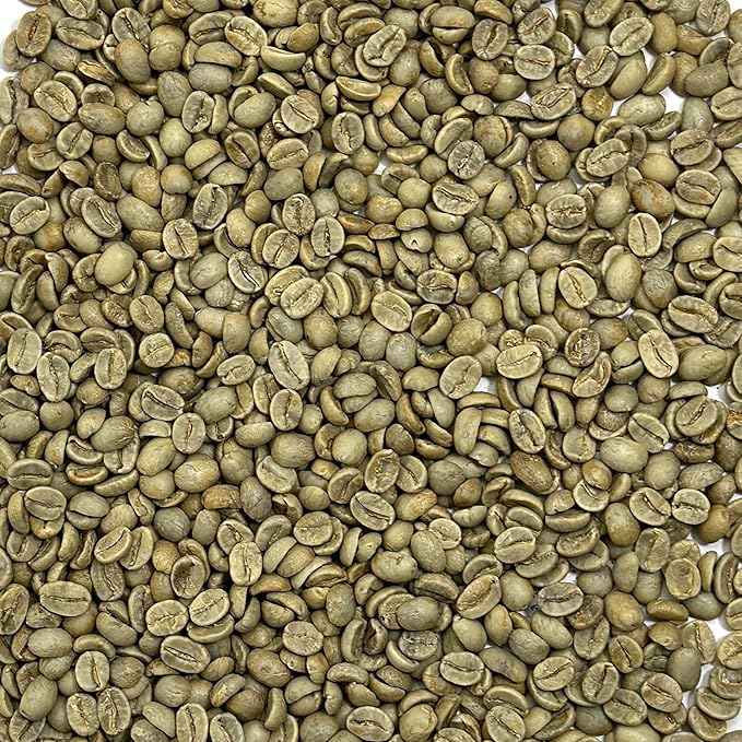 Current Crop Roasting Shop India Mysore Nuggets Green Coffee Beans – Unroasted Arabica for Home Roasting – Chikmagalur Single Origin Washed Process 3-Pound Bag