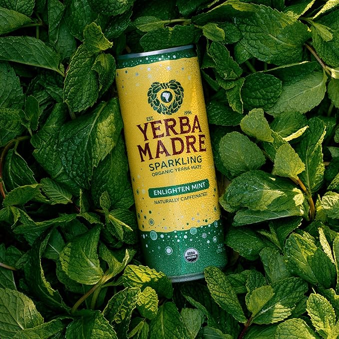 Yerba Madre Organic Sparkling Yerba Mate Enlighten Mint 115mg Natural Plant Based Caffeine Smooth Energy &amp Focus Carbonated 12oz Cans (Pack of 12)