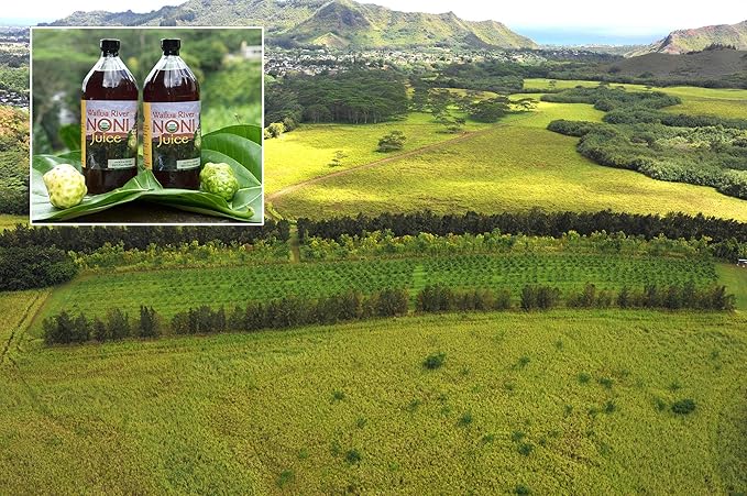 Wailua River Noni Juice (12)