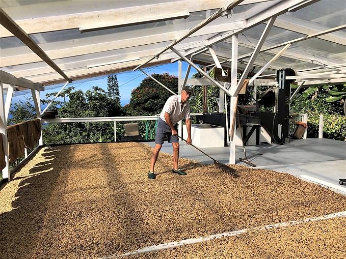 100% Kona Coffee – Whole Bean Medium roast Single estate gourmet coffee 8 ounces Farm fresh roasted from Domain Kona Coffee