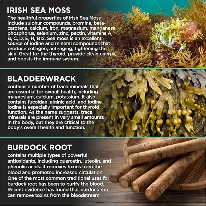 Organic Irish Sea Moss with Bladderwrack Burdock Root &amp Black Pepper Extract 150 Capsules Thyroid Support Natural Iodine Source Promotes Immune System Cell Food Alkaline Supplement