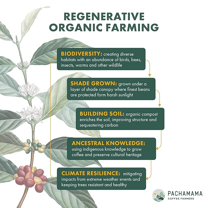 Pachamama Organic Coffee - Nicaragua Medium Roast Whole Bean Coffee - 2 lb - Farmer Owned &amp Regenerative