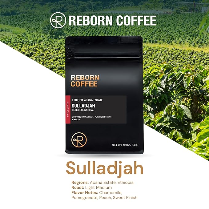 Reborn Coffee Specialty Whole Bean Coffee Medium Roast 12 Ounce Ethiopia Abana Estate Sulladjah Flavor Notes of Chamomile Pomegranate Peach and Sweet Finish