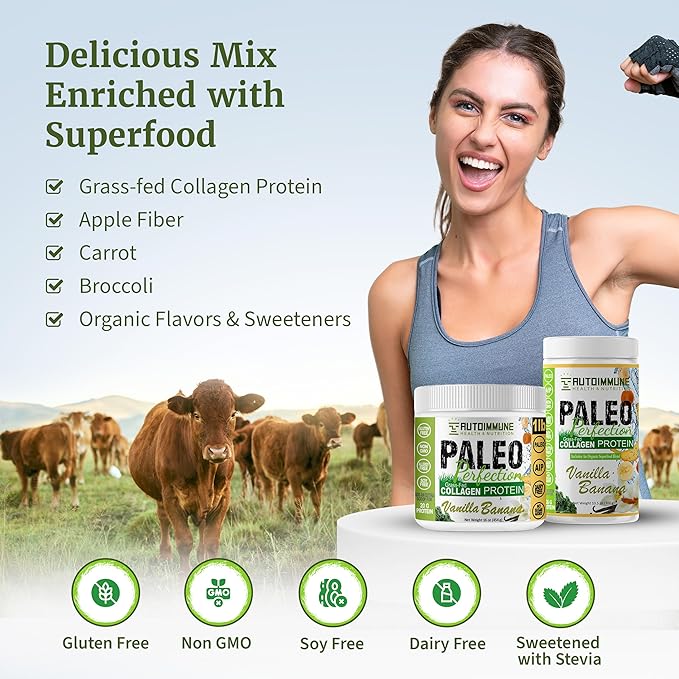 Paleo Perfection Double Chocolate Grass Fed Beef Collagen Protein Powder with Stevia - Paleo Keto SCD AIP Protein Powder with Apple Fiber Carrot &amp Broccoli - 1lb Protein Powder &amp Superfood