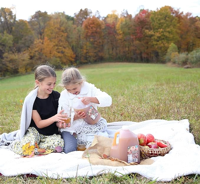 Kauffman's Fruit Farm Orchards Homemade Fresh-Pressed Apple Cider Frozen for Shipping 0.9 Gallon