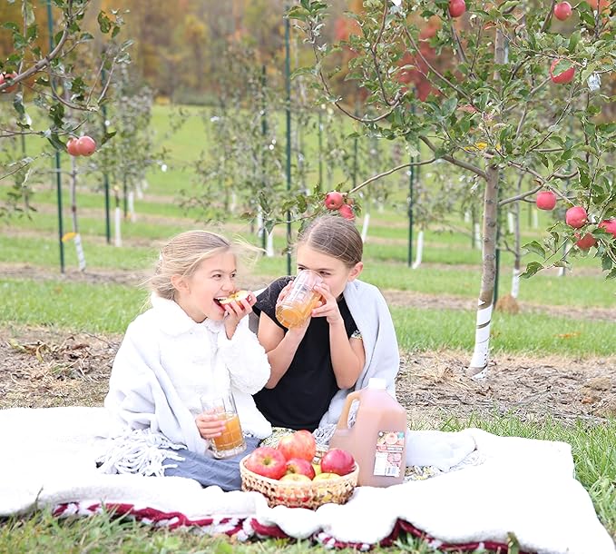 Kauffman Orchards Fresh-Pressed Award-Winning Sweet Apple Cider Frozen For Shipping 0.9 Gallon (Pack of 2)