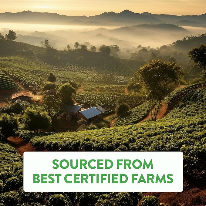 Best Sellers Coffee Sample Pack - 6 Varieties: Breakfast Blend Cowboy Blend Pure Peru Magic Mexico Bali Blue Moon Six Bean Espresso 12 oz