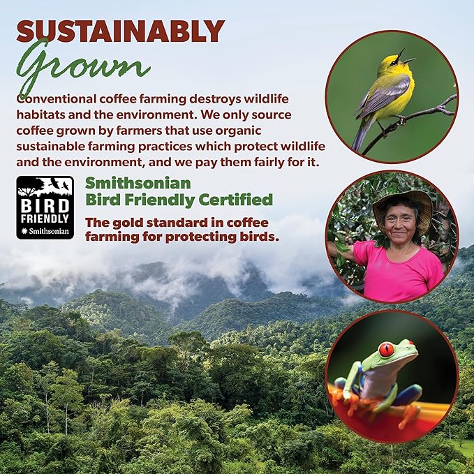Low Acid Organic Coffee – Whole Bean Mold-Free &amp Stomach Friendly by Java Planet Peruvian Single Origin Coffee Medium Dark Roast Smooth Full Flavored Smithsonian Bird Friendly 1LB Bag