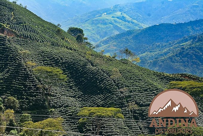 1 lb Andina Colombian Premium Medium Roast - Auto-drip Ground Coffee (1 LB)