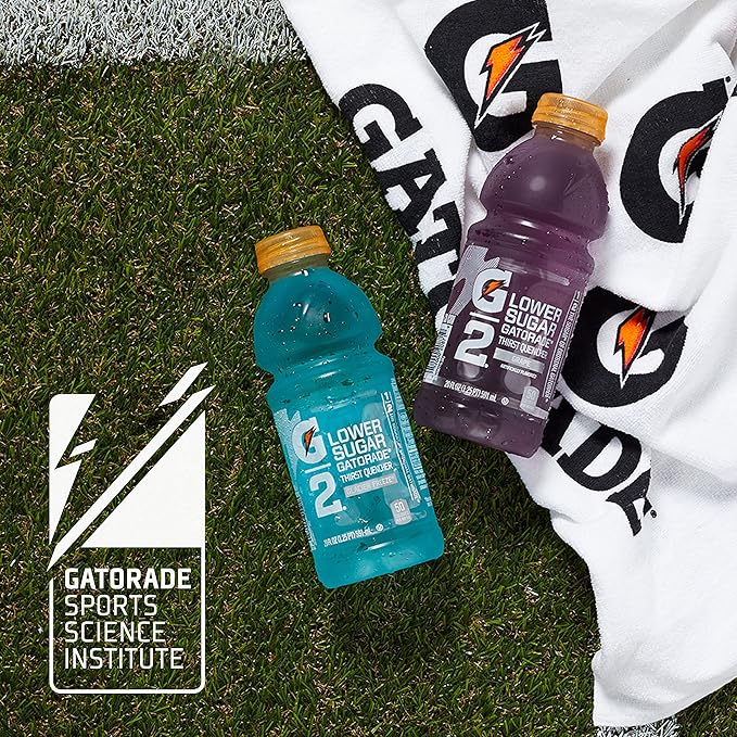 Gatorade G2 Thirst Quencher Lower Sugar Fruit Punch 12 Ounce Bottles (Pack of 24)