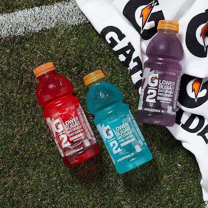 Gatorade G2 Thirst Quencher Lower Sugar Fruit Punch 12 Ounce Bottles (Pack of 24)
